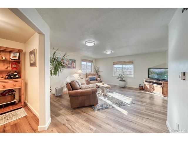 381 Empire Valley Dr, Leadville, CO 80461