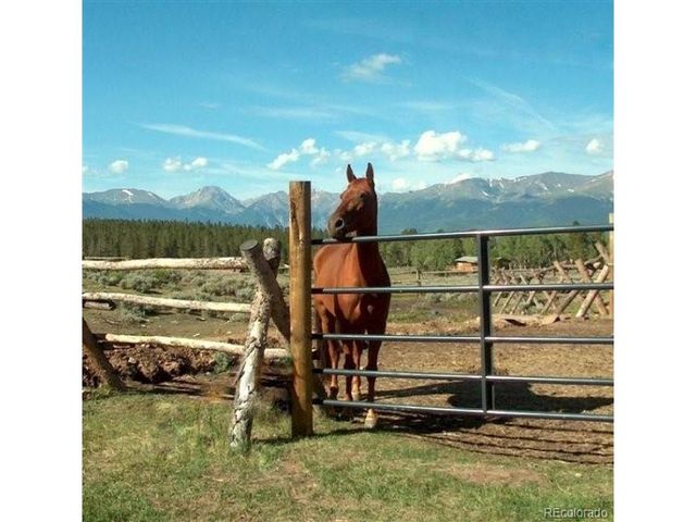 381 Empire Valley Dr, Leadville, CO 80461