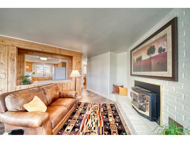 381 Empire Valley Dr, Leadville, CO 80461