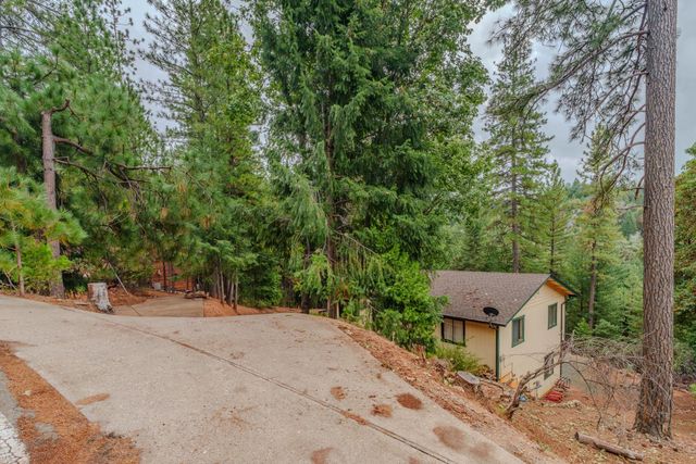 25504 Meadow Dr, Pioneer, CA 95666