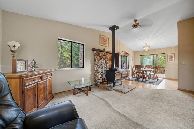 25504 Meadow Dr, Pioneer, CA 95666