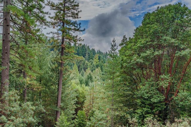 25504 Meadow Dr, Pioneer, CA 95666