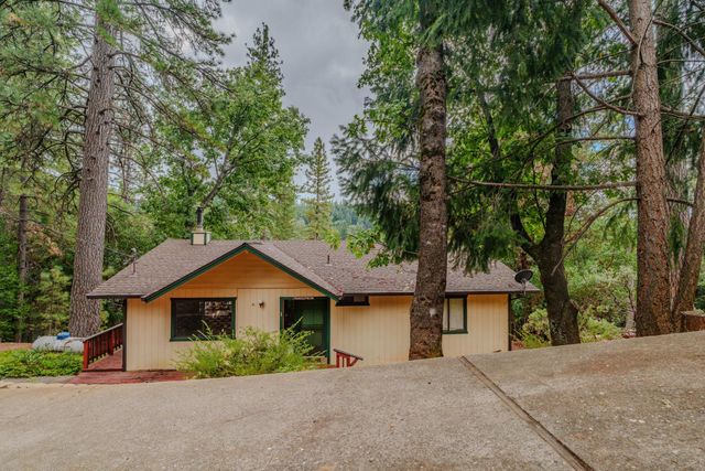 25504 Meadow Dr, Pioneer, CA 95666