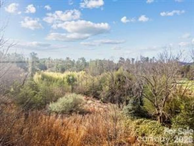 425 Nelson Valley Lane, Hendersonville, NC 28739