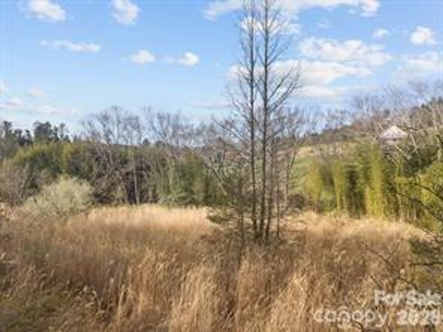 425 Nelson Valley Lane, Hendersonville, NC 28739