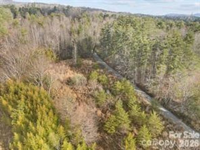 425 Nelson Valley Lane, Hendersonville, NC 28739
