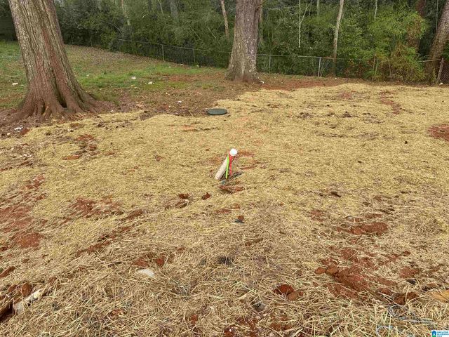340 EASTVIEW BOULEVARD, Birmingham, AL 35215
