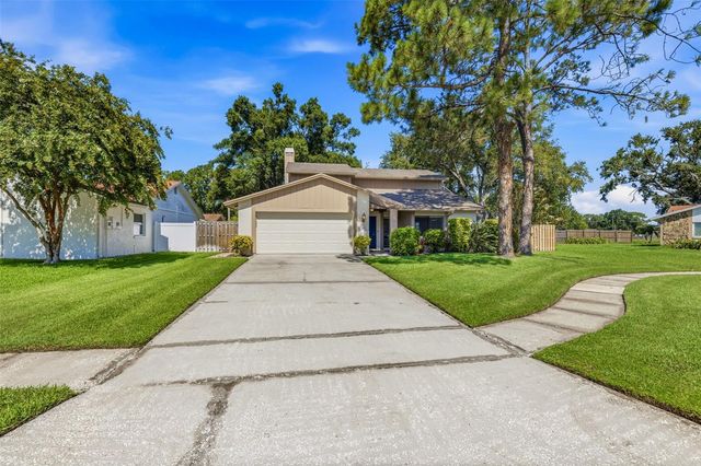 15710 PINTO PLACE, Tampa, FL 33624