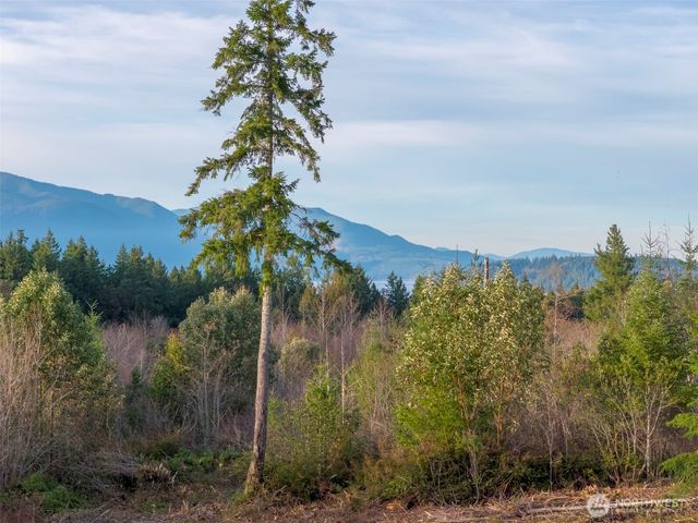 0 Effie Place NW, Seabeck, WA 98380