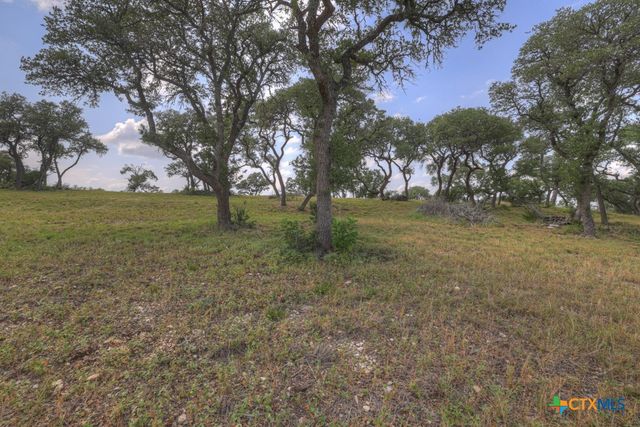 338 Sheridan Drive, Canyon Lake, TX 78133