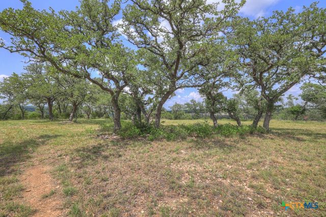 338 Sheridan Drive, Canyon Lake, TX 78133