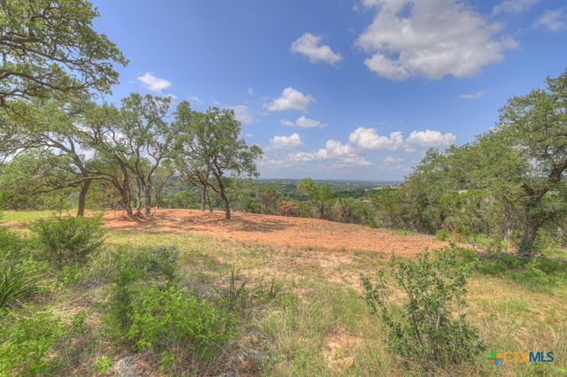 338 Sheridan Drive, Canyon Lake, TX 78133