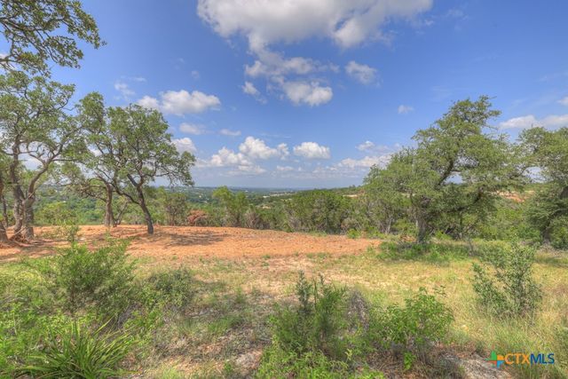 338 Sheridan Drive, Canyon Lake, TX 78133