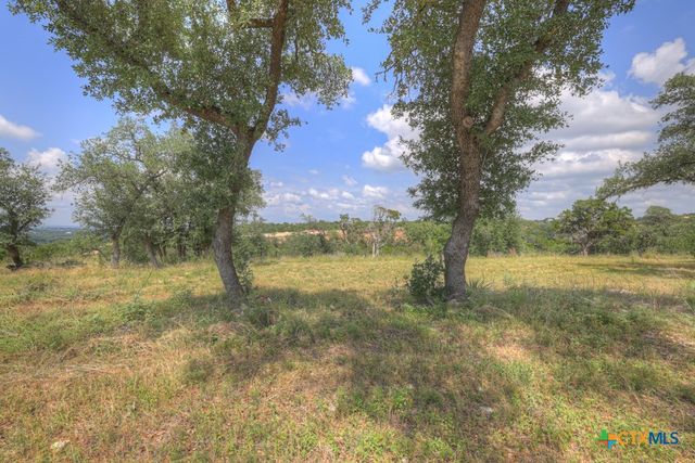 338 Sheridan Drive, Canyon Lake, TX 78133
