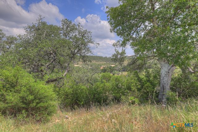 338 Sheridan Drive, Canyon Lake, TX 78133