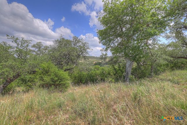 338 Sheridan Drive, Canyon Lake, TX 78133