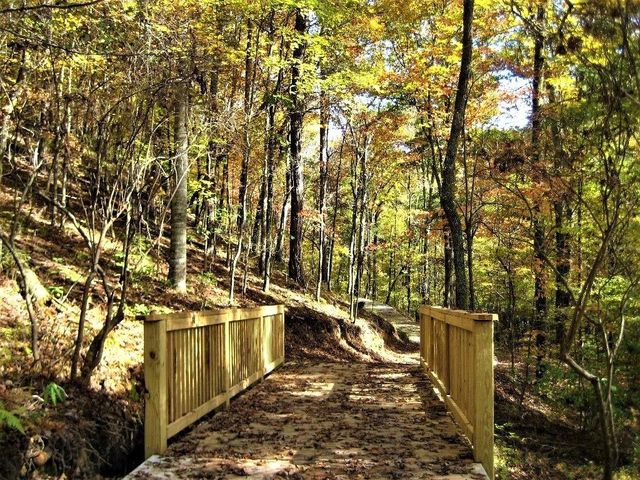 112 Waterview Court, Waleska, GA 30183