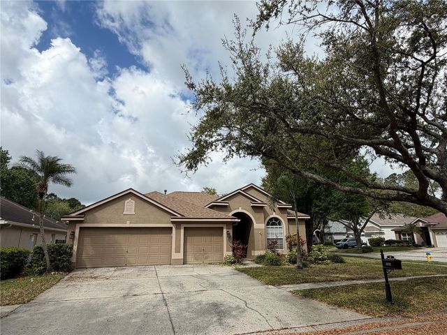 10132 DOWNEY LANE, Tampa, FL 33626