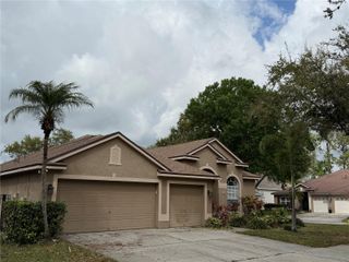 10132 DOWNEY LANE, Tampa, FL 33626