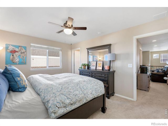 2084 Bayfront Drive, Windsor, CO 80550