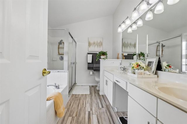 204 SUNWARD RUN, Davenport, FL 33896