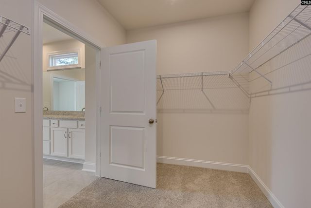 326 Chapin Place Way, Chapin, SC 29036