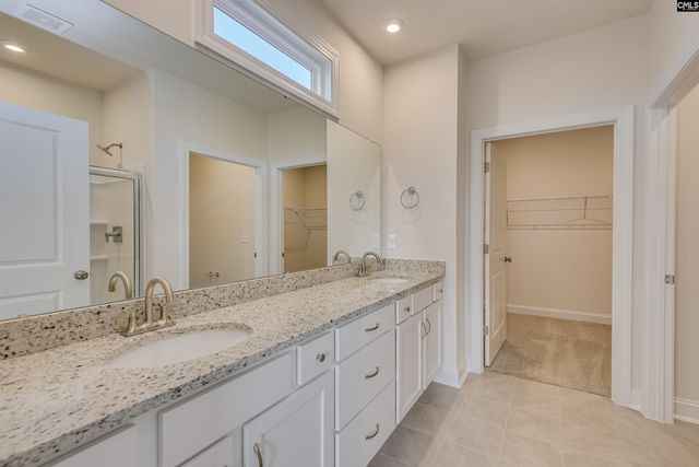 326 Chapin Place Way, Chapin, SC 29036