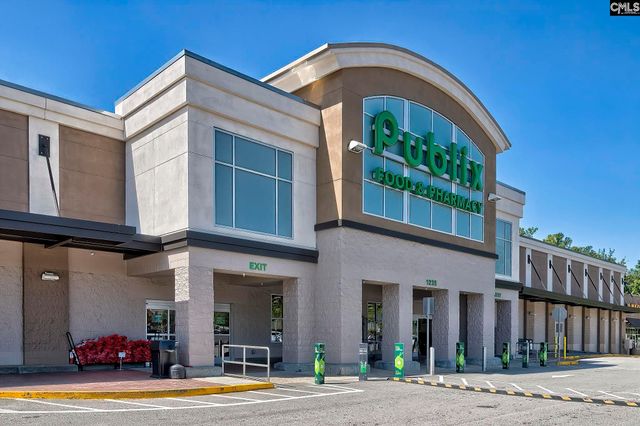 326 Chapin Place Way, Chapin, SC 29036