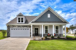 326 Chapin Place Way, Chapin, SC 29036