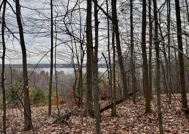 E Hidden Beech Drive, Cedar, MI 49621