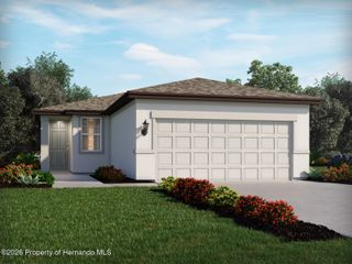 17668 Olive Thorn Drive, Brooksville, FL 34601