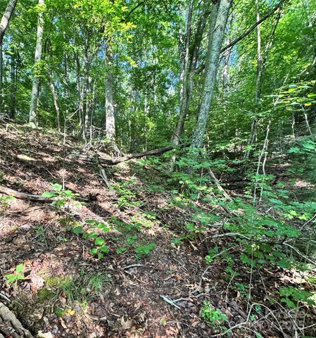 11 & 17 Tara Drive, Asheville, NC 28806