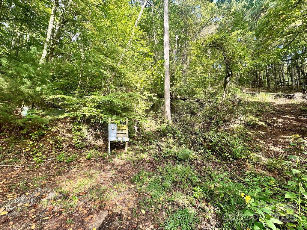 11 & 17 Tara Drive, Asheville, NC 28806