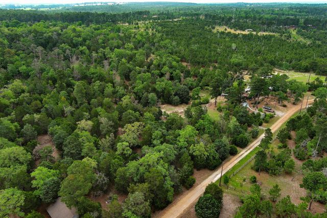 125 Turkey Trot RD, Smithville, TX 78957