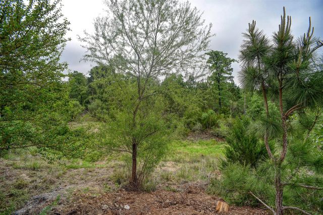 125 Turkey Trot RD, Smithville, TX 78957