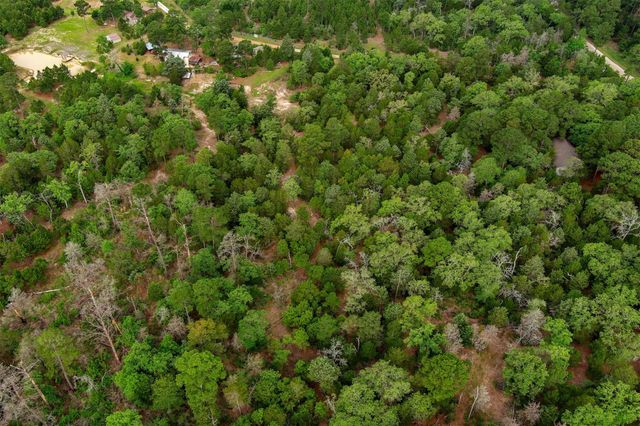 125 Turkey Trot RD, Smithville, TX 78957