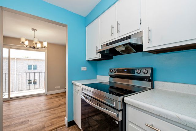 4113 W 97th Place 303, Oak Lawn, IL 60453