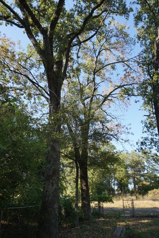 1714 Doc Holiday, Log Cabin, TX 75148