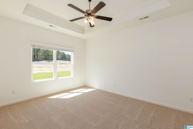 9911 CHELSEA PARK TRAIL, Chelsea, AL 35043