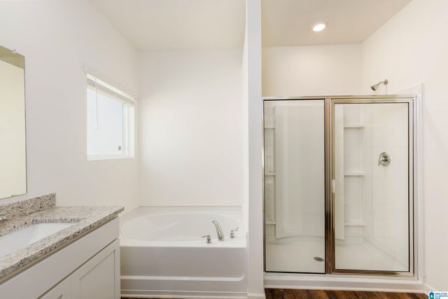 9911 CHELSEA PARK TRAIL, Chelsea, AL 35043