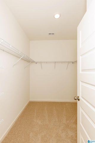 9911 CHELSEA PARK TRAIL, Chelsea, AL 35043