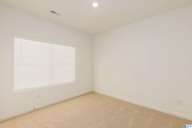 9911 CHELSEA PARK TRAIL, Chelsea, AL 35043