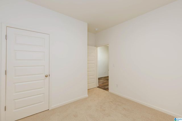 9911 CHELSEA PARK TRAIL, Chelsea, AL 35043