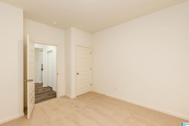 9911 CHELSEA PARK TRAIL, Chelsea, AL 35043