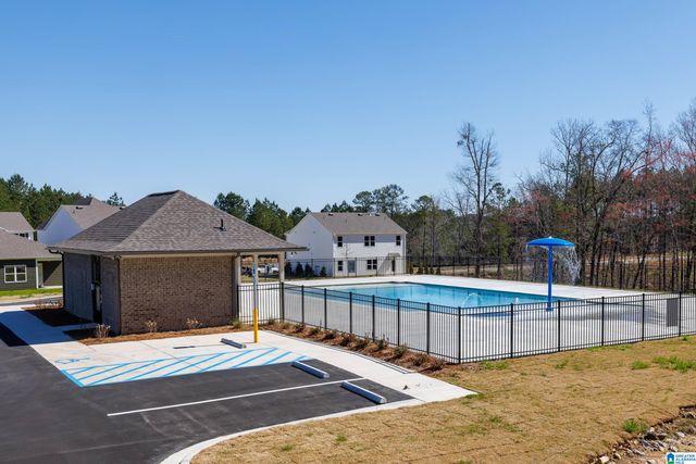 9911 CHELSEA PARK TRAIL, Chelsea, AL 35043