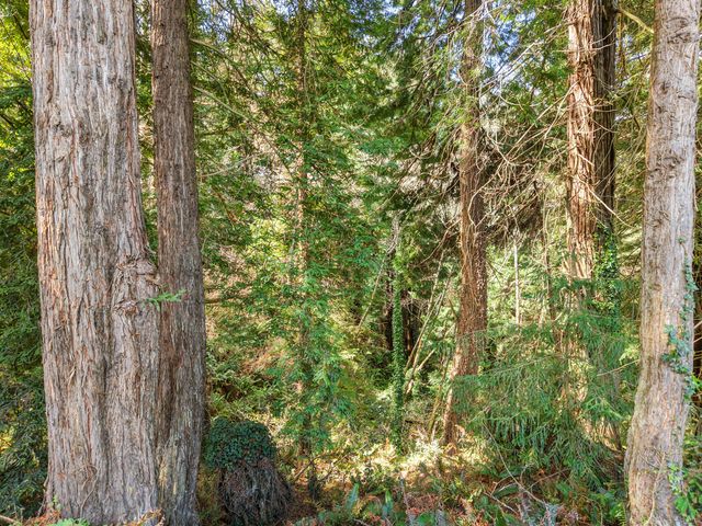 1651 Rachel Lane, Eureka, CA 95503