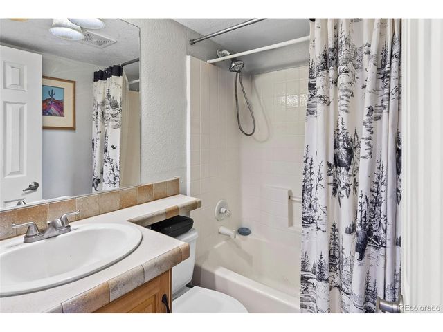 92 Sunshine Loop, Fairplay, CO 80440