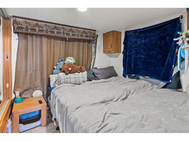 92 Sunshine Loop, Fairplay, CO 80440