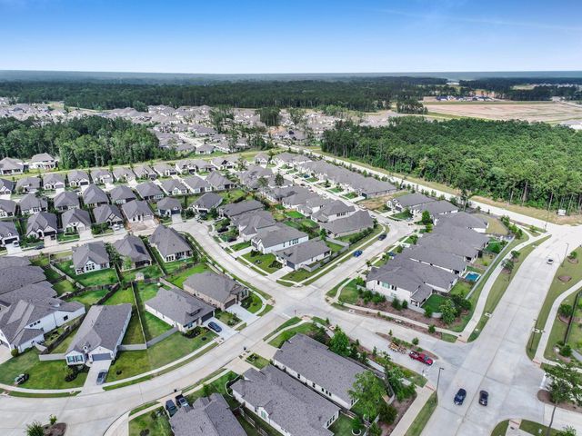 17759 Monarch Vista Lane, Conroe, TX 77302