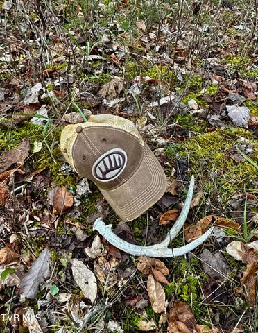 2114 Powell River Rd, Tazewell, TN 37879